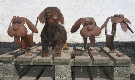 4 brune hunde